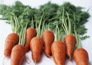 給料の支払いもしっかりしています