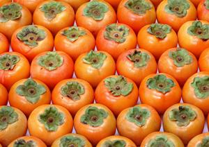 天文館ホストクラブなら安心して遊べる